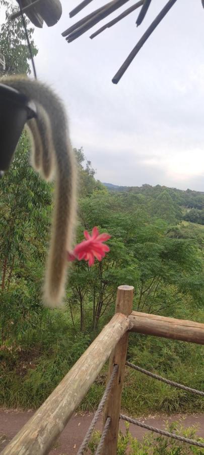 Cabana Rustica Logcabin オソリオ エクステリア 写真