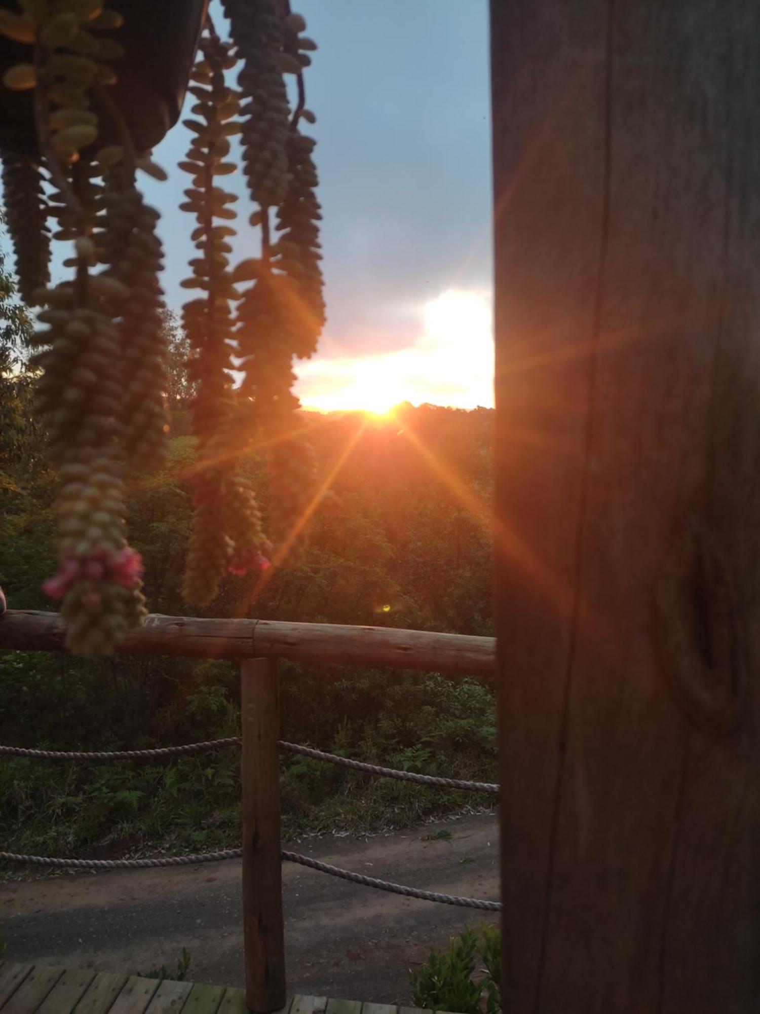 Cabana Rustica Logcabin オソリオ エクステリア 写真